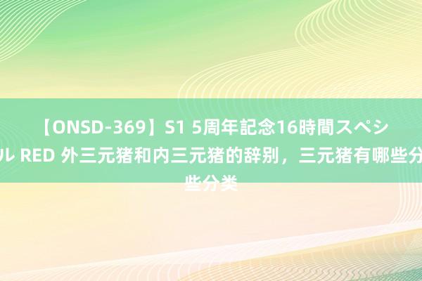 【ONSD-369】S1 5周年記念16時間スペシャル RED 外三元猪和内三元猪的辞别，三元猪有哪些分类