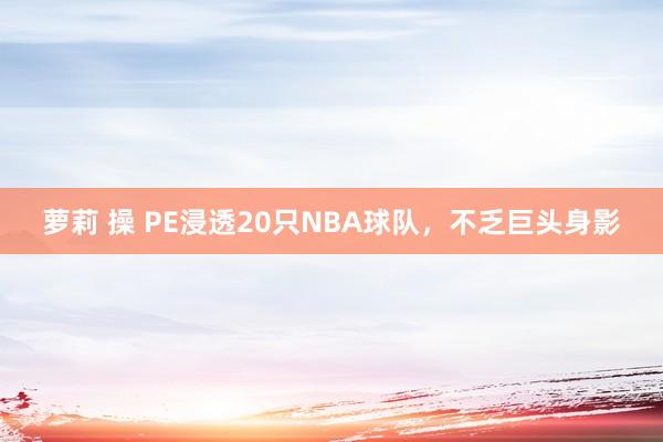 萝莉 操 PE浸透20只NBA球队，不乏巨头身影