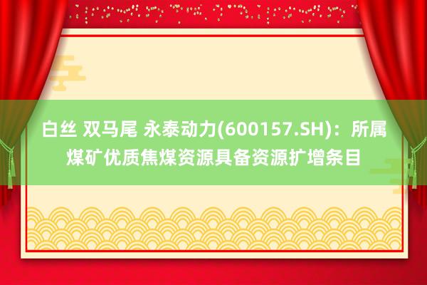 白丝 双马尾 永泰动力(600157.SH)：所属煤矿优质焦煤资源具备资源扩增条目