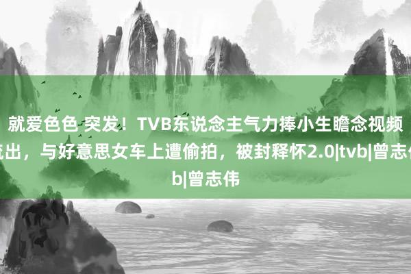 就爱色色 突发！TVB东说念主气力捧小生瞻念视频流出，与好意思女车上遭偷拍，被封释怀2.0|tvb|曾志伟